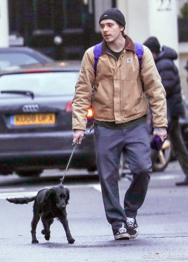 小贝大公子布鲁克林·贝克汉姆在街头遛狗,20岁的帅哥穿衣低调朴素